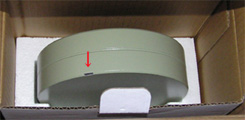 weight