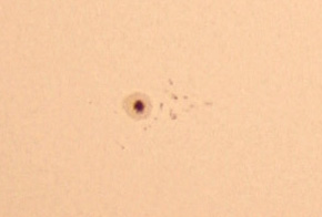 sun